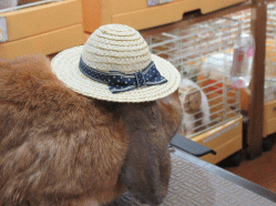 150718h.gif