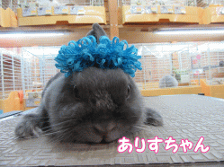 150718i.gif