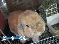 150718o.gif