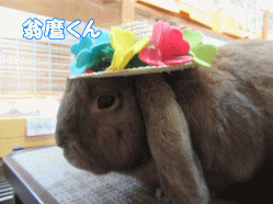 150721a.gif