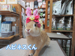 150721c.gif