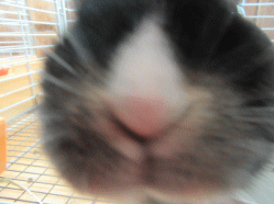 150722d.gif