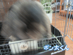 150722e.gif