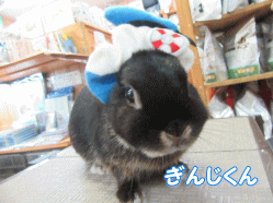 150726k.gif