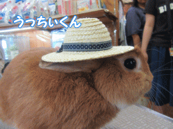 150726o.gif