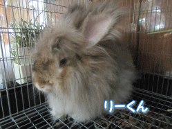 150726s.gif