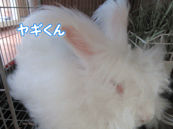 150726u.gif