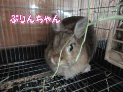 150726w.gif
