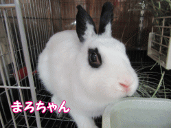150728i.gif