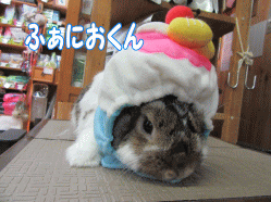 150730e.gif