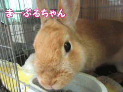 150731u.gif