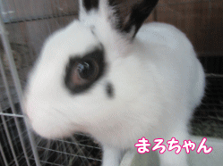 150731w.gif
