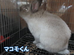 150731xi.gif