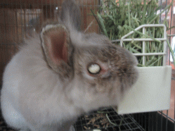 150731xj.gif