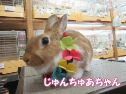 150801ba.gif