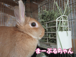 150801g.gif