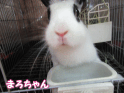 150801i.gif