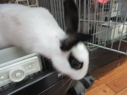 150801j.gif