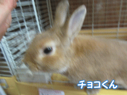150801o.gif