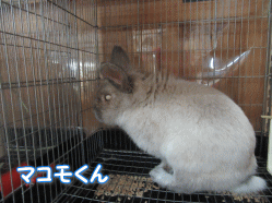 150801u.gif