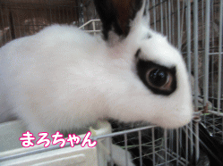 150802f.gif