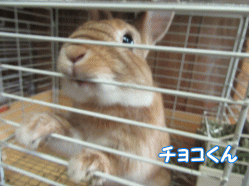 150802o.gif