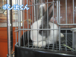150803p.gif