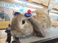 150804a.gif