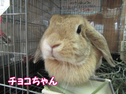 150804h.gif