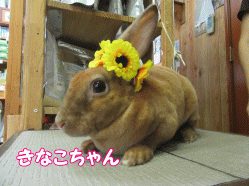 150807b.gif