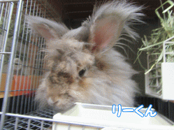 150807e.gif