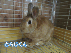 150807h.gif