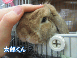 150807m.gif