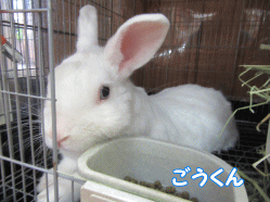 150807n.gif