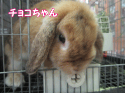 150807p.gif