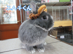 150808b.gif