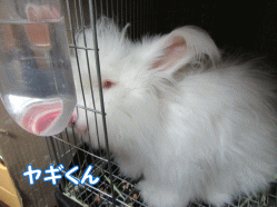 150808g.gif