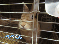150808k.gif