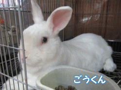 150808p.gif