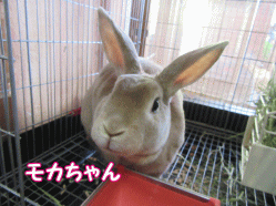 150809t.gif