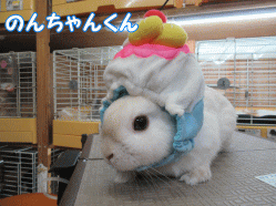 150810a.gif