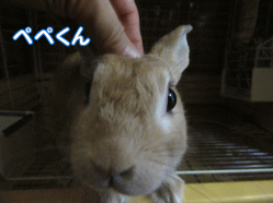 150810o.gif