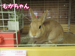 150810q.gif