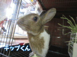 150811g.gif