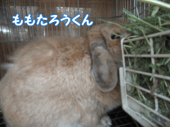 150811k.gif