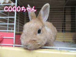 150811s.gif