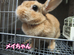 150811v.gif
