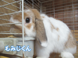 150811w.gif