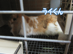 150813.gif