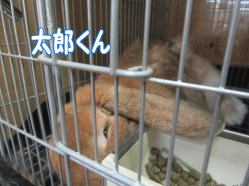 1508132d.gif